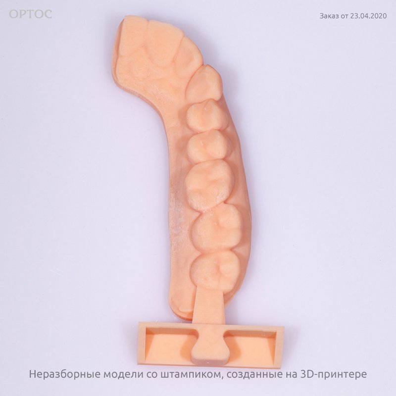 Фотографии неразборных моделей со штампиком 4 - Фрезерный CAD/CAM центр Ортос Новости