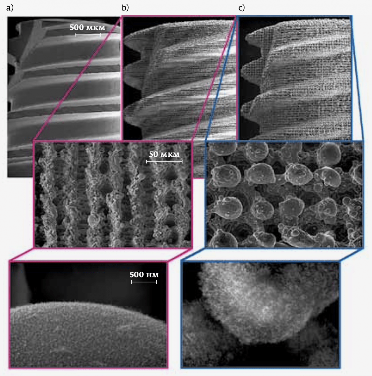 Лазерная технология структурирования поверхности дентальных титановых имплантатов. Часть 1 1 - Фрезерный CAD/CAM центр Ортос Научные работы